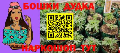 кокаин колумбия Кингисепп